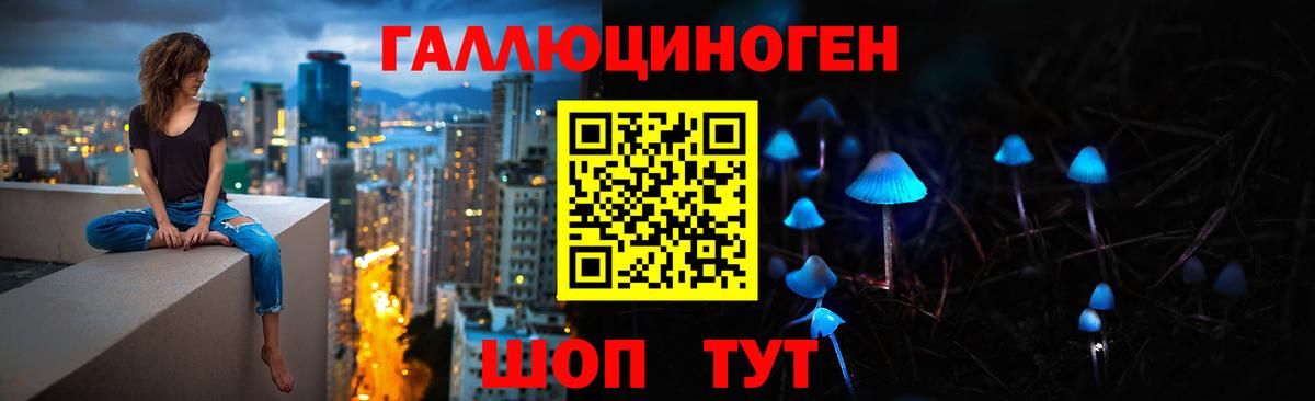 Горячий Ключ  Галлюциногенные грибы прущие грибы  Вход с VPN 